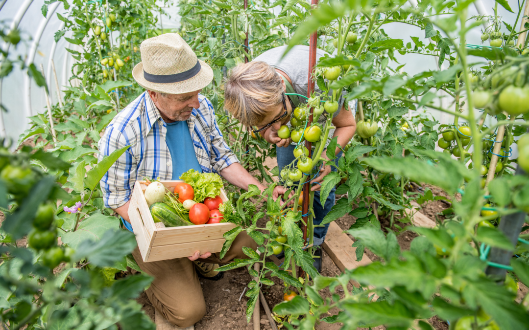 Year-Round Garden Planning: Monthly Tasks for Healthier Beds and Bigger Harvests