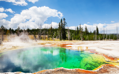 Beyond the Boardwalk: Discovering Hidden Trails in Iconic U.S. National Parks