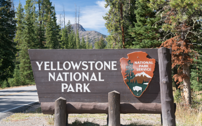 Exploring Yellowstone: A Family-Friendly Guide to Geysers and Wildlife